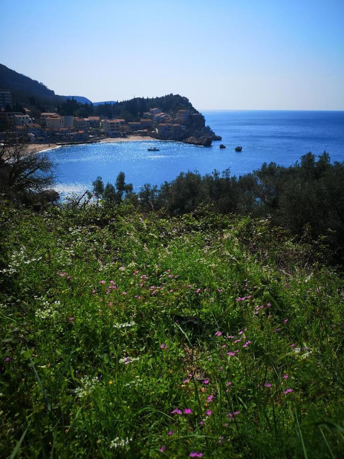 Langust - Free Parking Daire Sveti Stefan Dış mekan fotoğraf
